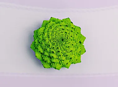 大白鹅跨境工具更新 – Release at V4.1.0